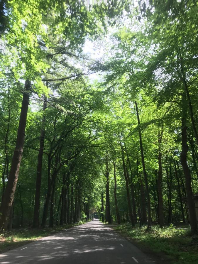 Uniek Chalet Op De Veluwe, In Bosrijke Omgeving. 푸텐 외부 사진